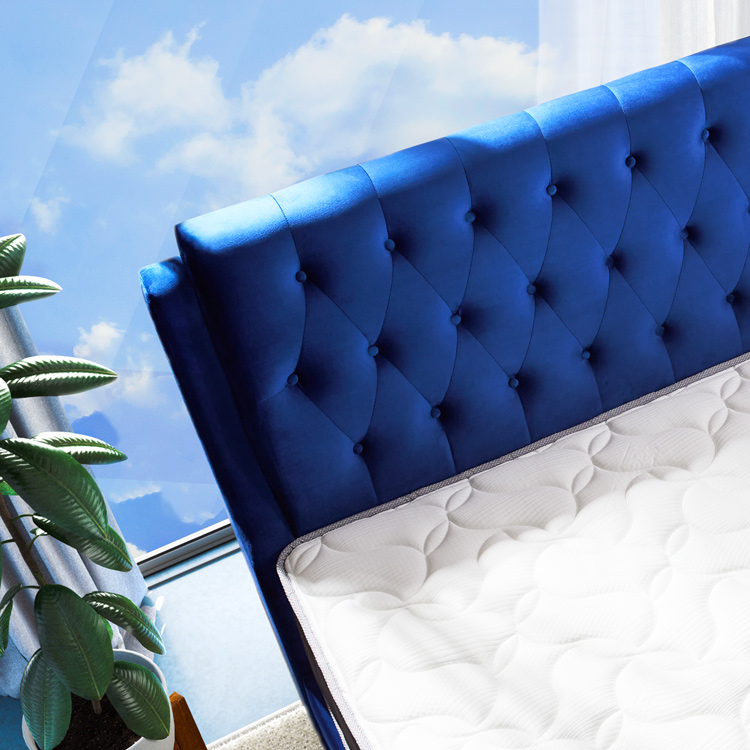 Pandangan atas Coway Prime II Dark Blue